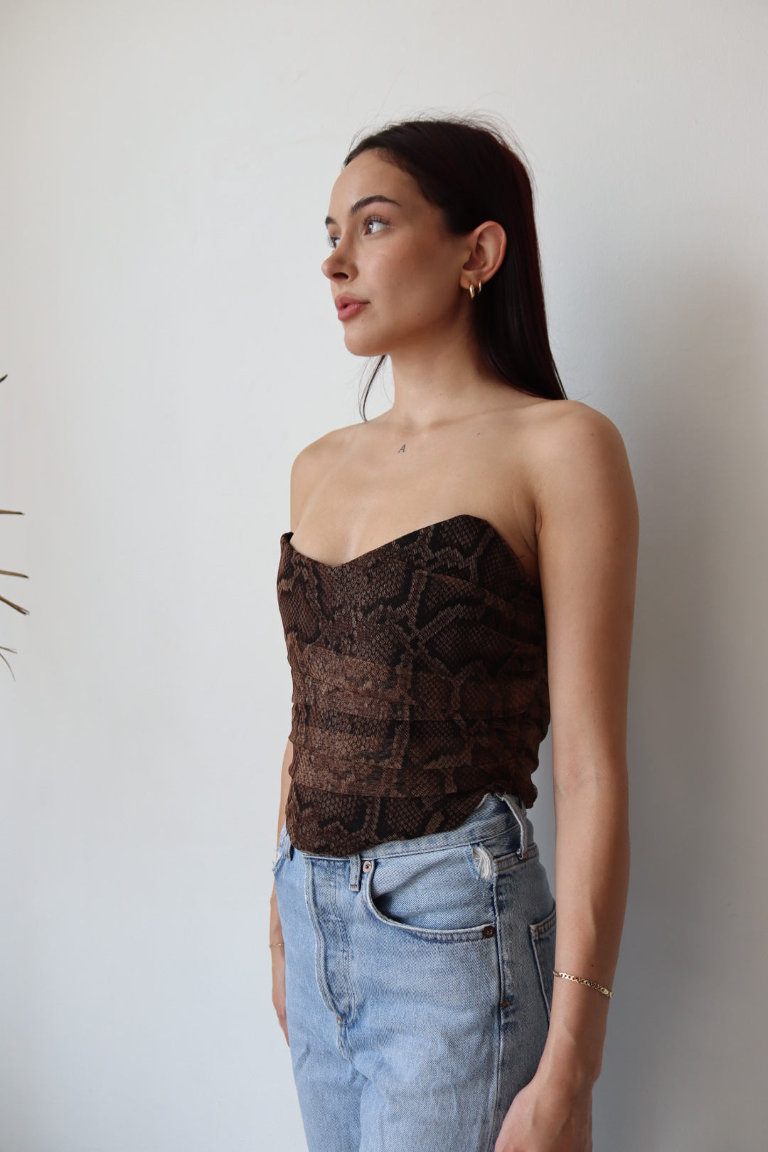 Snake Print Bustier Top